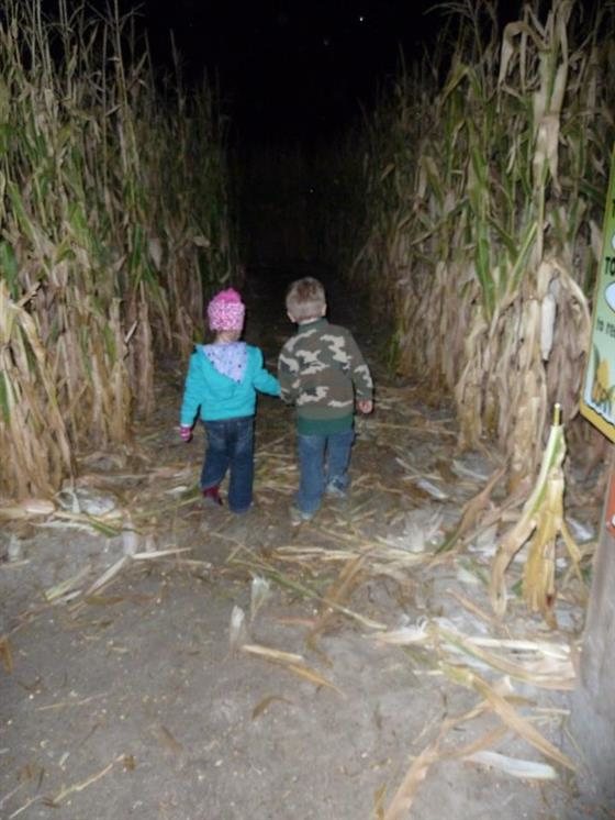 Cornbelly's corn maze coupons 2018