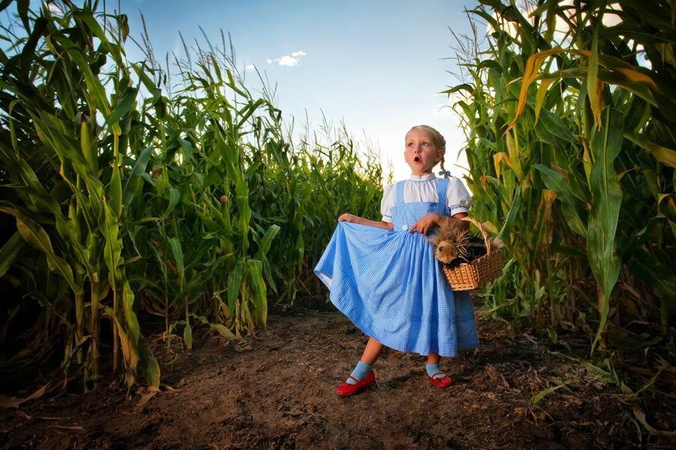 Cornbelly's corn maze coupons 2018